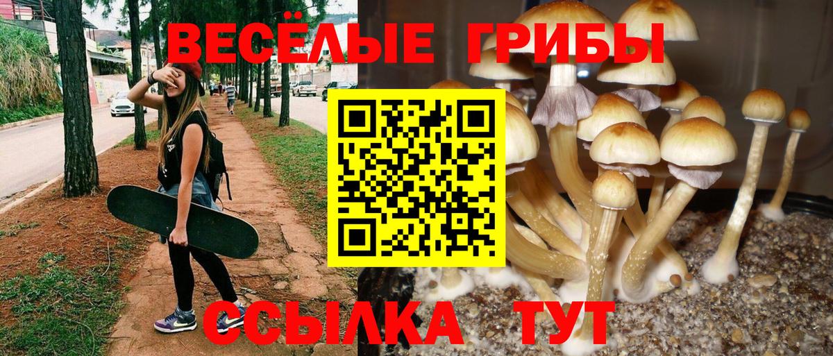 Псилоцибиновые грибы Psilocybine cubensis  Вход с VPN  Качканар 