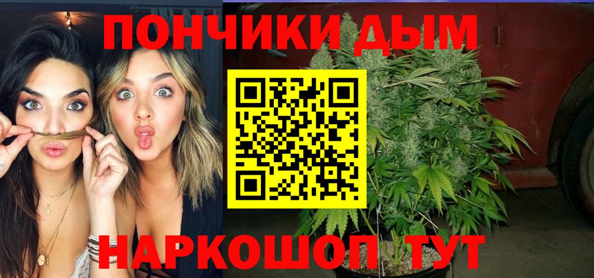 Марихуана конопля  МАРИХУАНА ГИДРОПОН  Качканар  Вход с VPN 